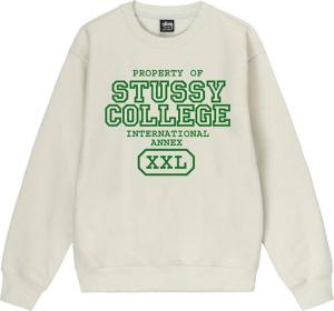 Толстовка Stussy Property Of Crew 'Stone', кремовый