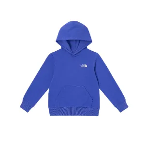 THE NORTH FACE Свитшот Blue Purple для детей 3-7 лет
