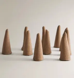 Набор благовоний Zara Home Sacred Woods Scented Incense Cones, 10 предметов
