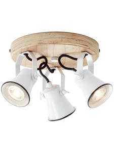 Brilliant Спотрондель, трехпламенный семенной сорт, диаметр 28 см, белая/светлая древесина