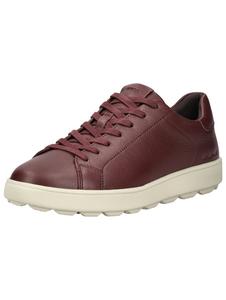 Кроссовки GEOX, Wine red