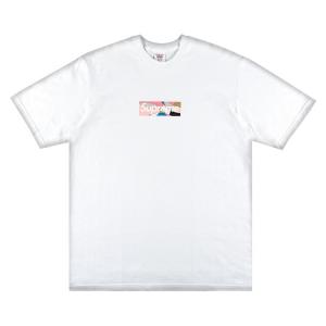 Футболка Supreme x Emilio Pucci Box Logo Tee 'White/Dusty Pink', белый