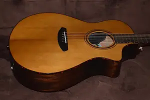 Breedlove Organic Pro Performer Thinline 2024 - Глянец