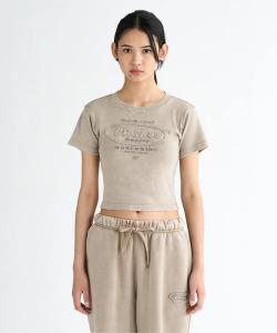 Женская футболка с коротким рукавом DC SHOES, бежевый