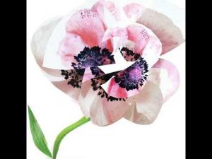 Парфюмированная вода для женщин Estuche Narciso For Her Narciso Rodriguez, 1 UD