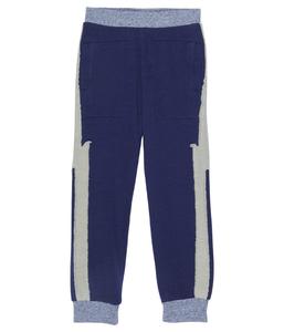 Брюки Chaser Kids, Color-Blocked Bolt Joggers