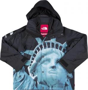 Куртка Supreme x The North Face Statue Of Liberty Mountain Jacket 'Black', черный