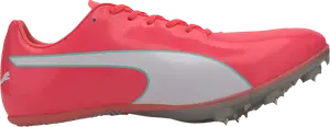 Бутсы Puma evoSpeed Sprint 10 Ignite Pink, розовый