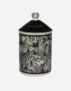 Ароматическая свеча из фарфора - Личи и Морошка Dolce&Gabbana, мультиколор