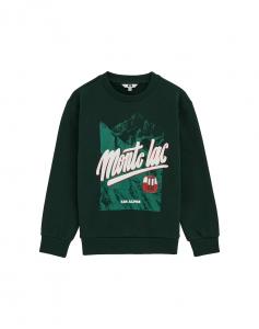 Толстовка WE Fashion, темно-зеленый