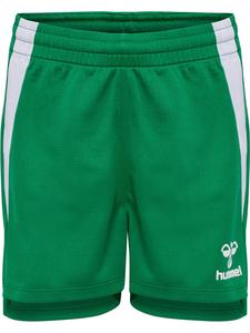 Hummel Штаны для тренировок Regular 'Lead 2.0' в цвете Grass Green, Neon Green