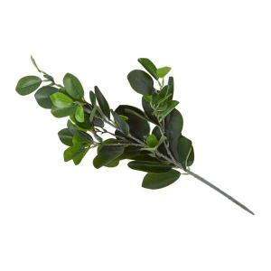 Декоративное растение Homescapes Gummibaum Dekozweig, зеленый