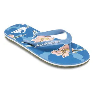 Мужские шлепанцы Molokai Art 25 Quiksilver, серо-голубой