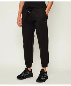 Полиэстеровые спортивные штаны Regular fit Replay, черный