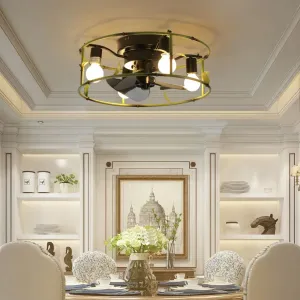 Потолочный вентилятор Streamdale Green в защитной решетке с подсветкой и пультом дистанционного управления Streamdale Furniture, зеленый