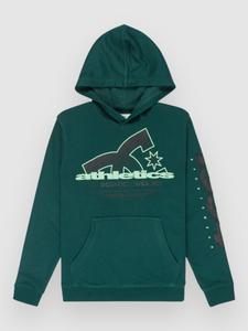 Толстовка DC Slathletic Kids Hoodie, ponderosa pine