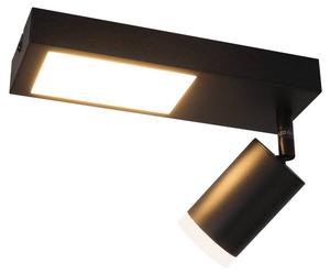 Потолочный светильник Nettlife Birkenfeld 1-flammig, черный