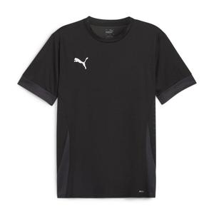 Мужская футболка Puma teamGOAL Matchday Jersey 705747