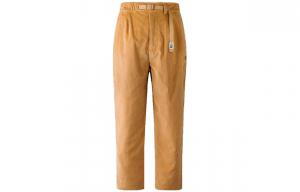 Повседневные брюки мужские цвета хаки The North Face, хаки