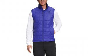 Мужской жилет THE NORTH FACE, цвет Blue