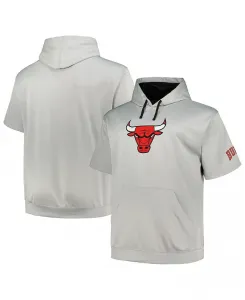 Мужская толстовка с капюшоном Chicago Bulls Big and Tall Logo, серебристая Fanatics