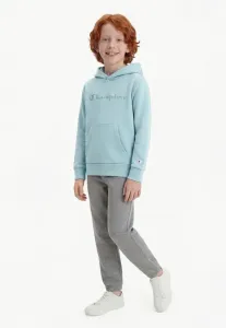 Худи с логотипом icons Champion, Light Blue