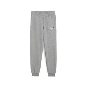 Детские тренировочные брюки Puma ESS 2 COLOR No. 1 Logo Sweatpants FL B 685824