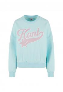 Толстовка SIGNATURE STAR LOGO CREW Karl Kani, светло-голубой