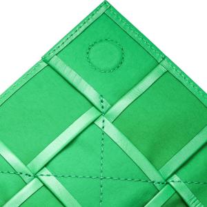 Кассетный пояс из коровьей кожи сумка-коробка фотосумка поясная сумка через плечо мини мужская попугай зелёный Bottega Veneta