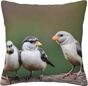 MDATT Декоративная подушка квадратная Three Birds Three Birds