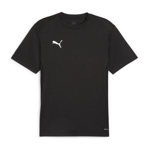Мужская футболка Puma teamGOAL jersey 658636
