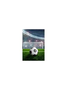 BrandMac Одеяло 'Fußball', мультиколор