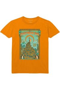 Хлопковая футболка с павлином Fleetwood Mac, оранжевый
