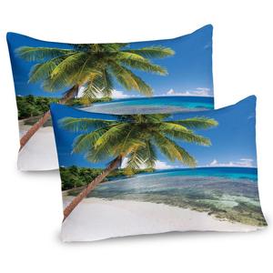ABAKUHAUS Fiji Чехлы для подушек, набор из 2 шт., реальный образ острова с небесным раем для путешественников, чехол для подушки с декоративным принтом, 80 x 40 см, многоцветный лазурный синий