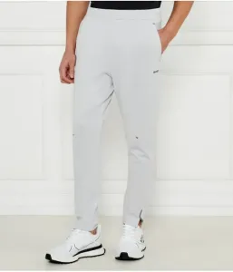 Спортивные штаны Hicon Active regular fit Boss Green, пепельно-серый