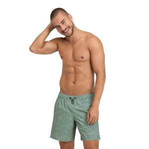 Плавки Arena Evo Ao