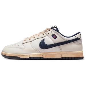 Верхние кроссовки Stranger Things Dunk Low Unisex Nike, серо-голубой