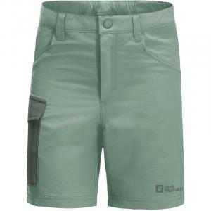 Шорты активные шорты к Jack Wolfskin, зеленый