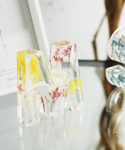 Заключенный исходный объект