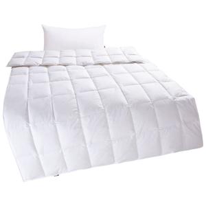 Комплект My home Irah пуховое одеяло + подушка, 40х80, легкое, белый