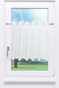 Штора "кафе" из кружева Плауэн с круглым узором (Ш x В) 60 x 60 см, белая Plauener Spitze