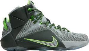 Кроссовки Nike LeBron 12 'Dunkman', серый
