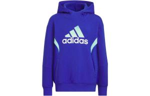 Толстовка GS Adidas, синий
