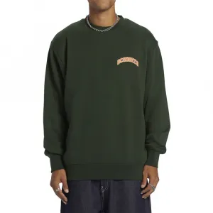 Толстовка Dc Shoes Varsity, зеленый