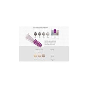 Перманентная краска FAIPA Nyo 120 мл — 11,91 Платиновый жемчужный пепел