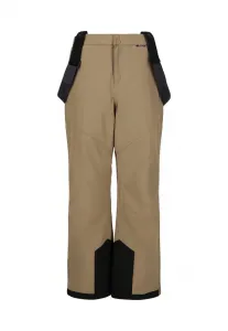 Снежные штаны Whistler, Fallen Rock