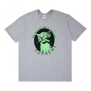 Футболка Supreme Smoke, серый