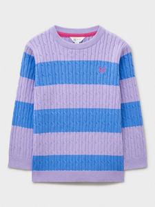 Детский свитер с воротником-гольф и узором "косичка" Crew Clothing, Multi Purple