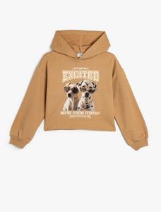 Толстовка Koton, светло-коричневый