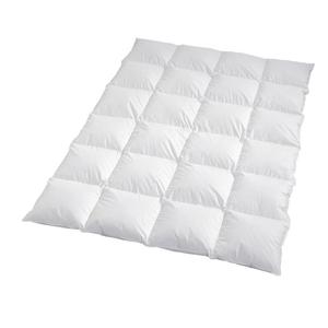 Теплое пуховое одеяло Dream Sleep Arctic, наполнитель: 90% пух, 10% перо 155х200 см Traumschlaf